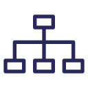 Organizational Structure